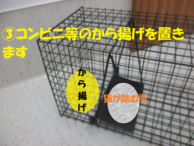 捕獲4
